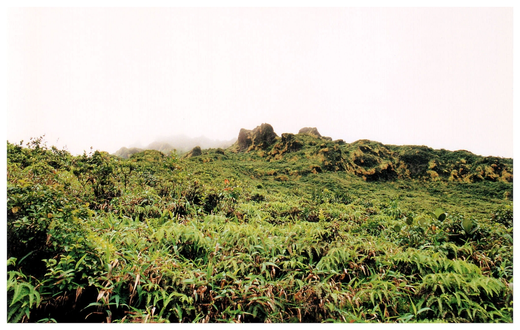 04 - La Soufriere (1).jpg